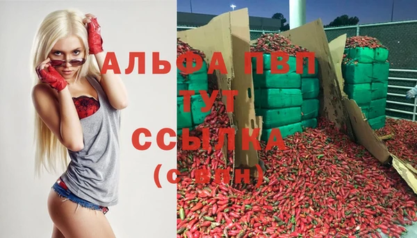 прущий лед Гусь-Хрустальный