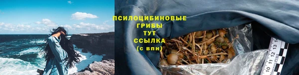 прущий лед Гусь-Хрустальный