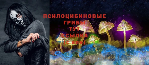 сатива Семилуки