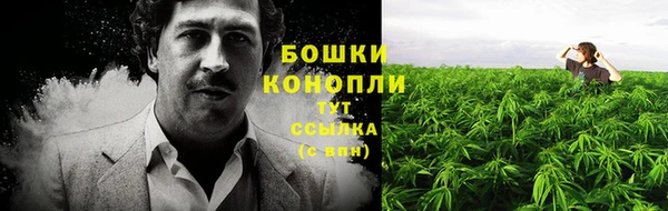 не бодяженный Дмитриев