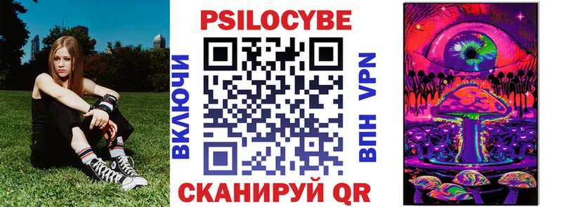 дарнет шоп  Рудня  Псилоцибиновые грибы Psilocybine cubensis 